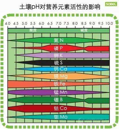 土壤ph測(cè)定