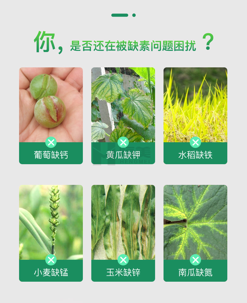 三合一土壤檢測(cè)儀